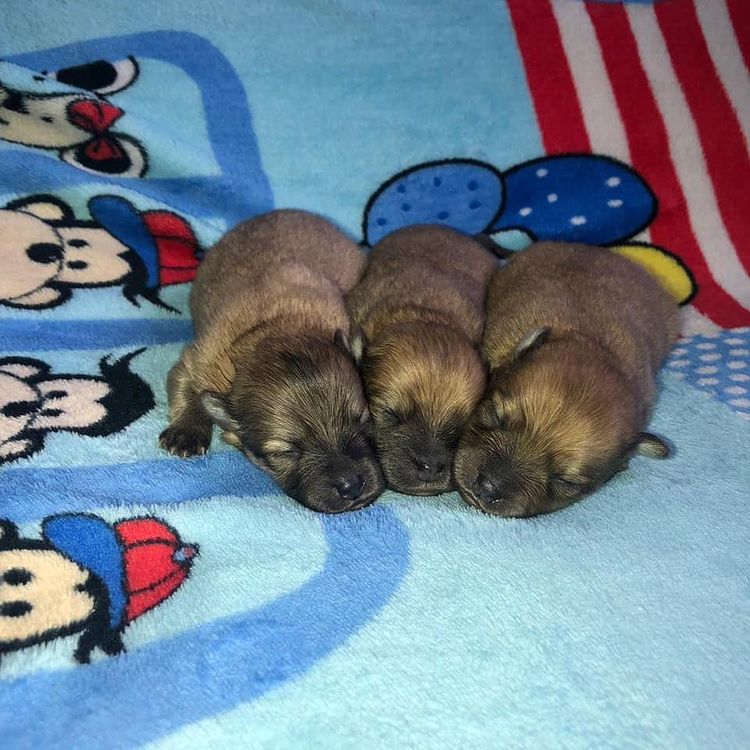 67410614_466616017273276_4913760058557983671_n