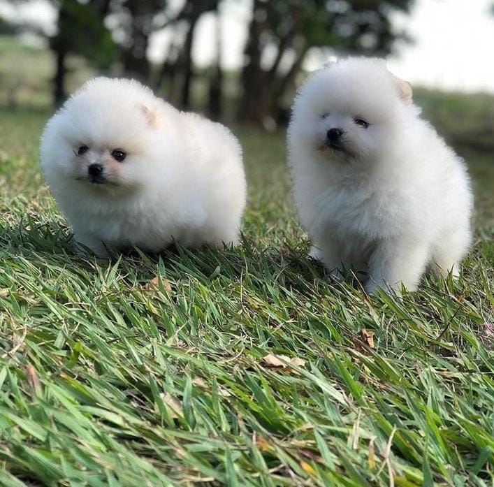 WhatsApp Image 2021-06-28 at 09.25.18