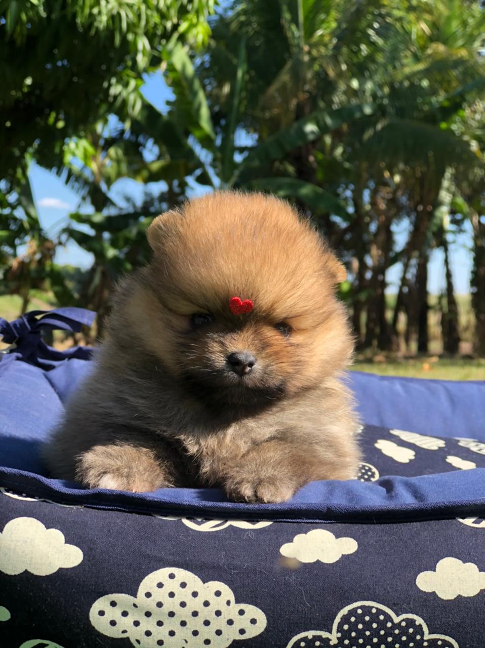 WhatsApp Image 2021-06-28 at 09.25.19 (1)