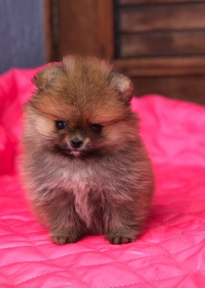 WhatsApp Image 2021-06-28 at 09.26.33 (1)