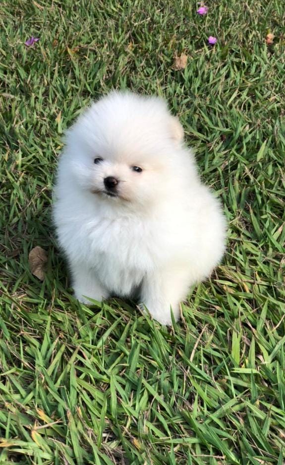 WhatsApp Image 2021-07-05 at 16.25.57