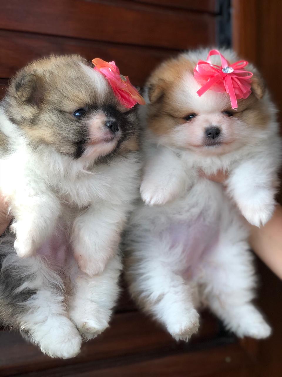 WhatsApp Image 2021-07-05 at 16.25.58 (1)