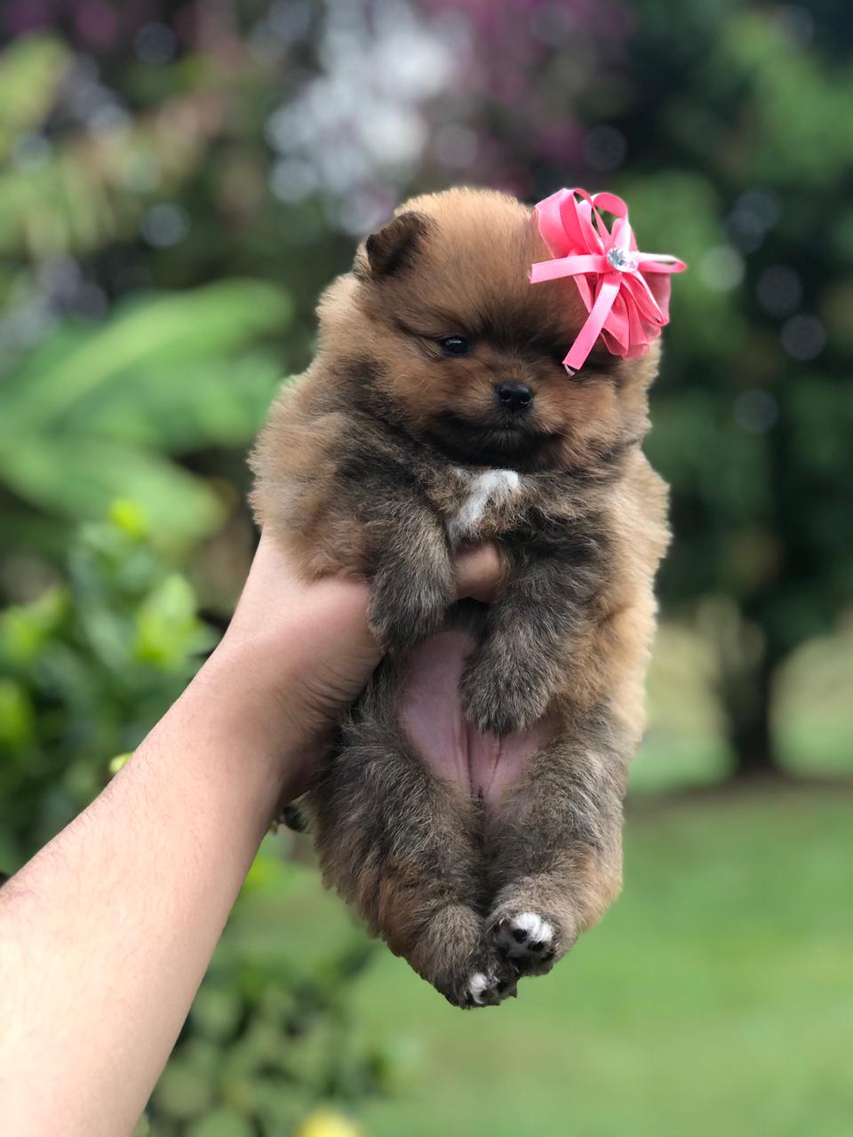 WhatsApp Image 2021-07-05 at 16.25.58