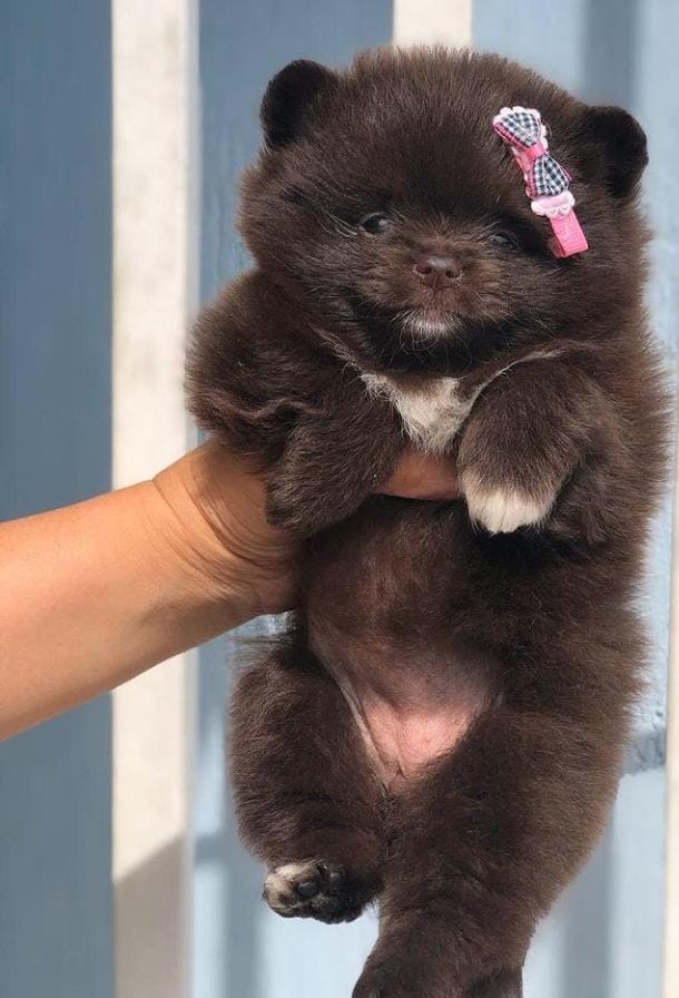 WhatsApp Image 2021-07-05 at 16.25.55