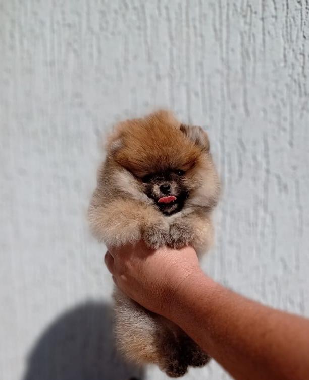 WhatsApp Image 2021-07-05 at 16.25.56